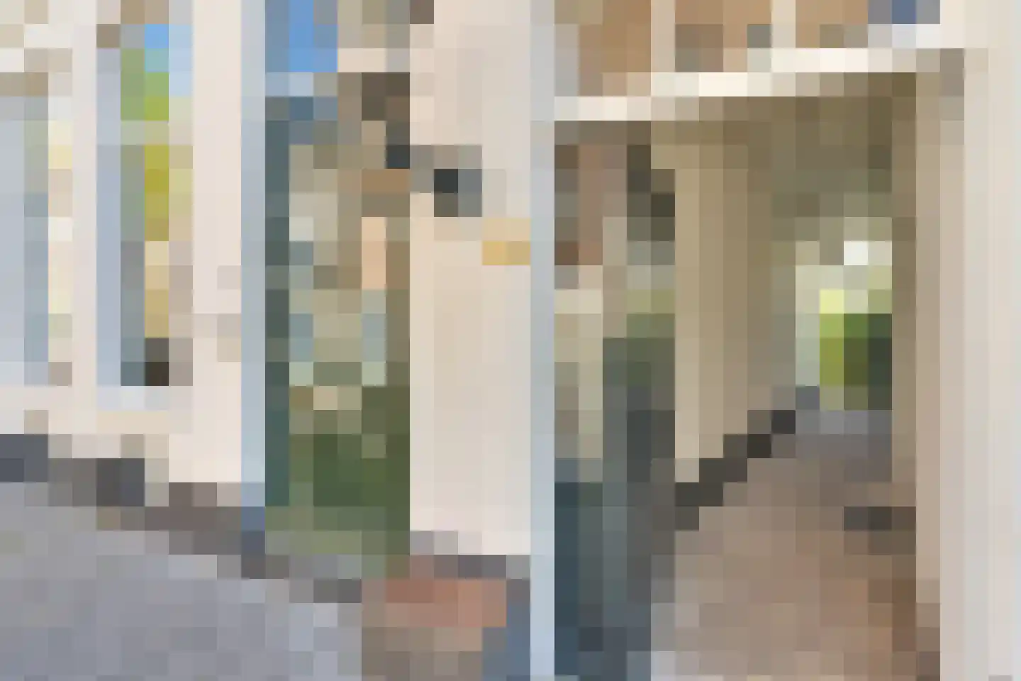 Bilderdijkstraat 67 Den Haag thumbnail 6