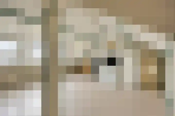 Bilderdijkstraat 67 Heerhugowaard thumbnail 23