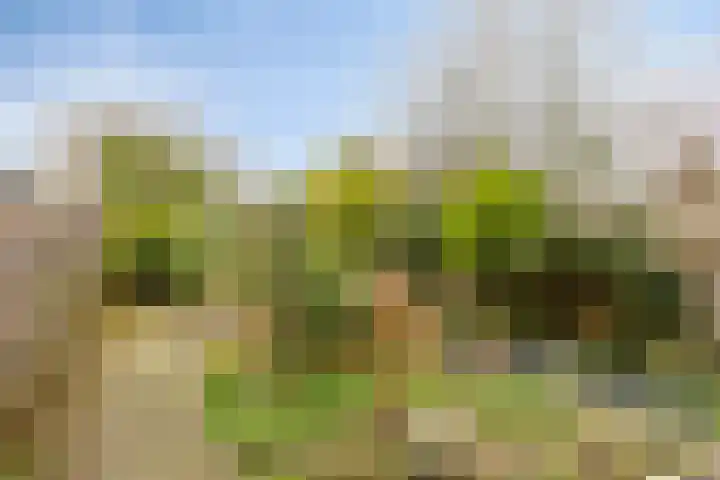 Bilderdijkstraat 67 Heerhugowaard thumbnail 25