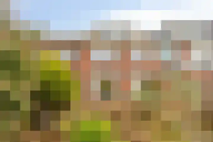 Bilderdijkstraat 67 Heerhugowaard thumbnail 27