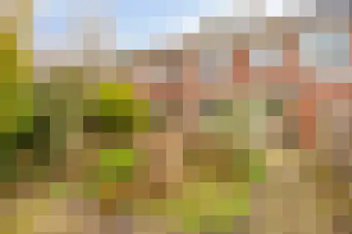 Bilderdijkstraat 67 Heerhugowaard thumbnail 6