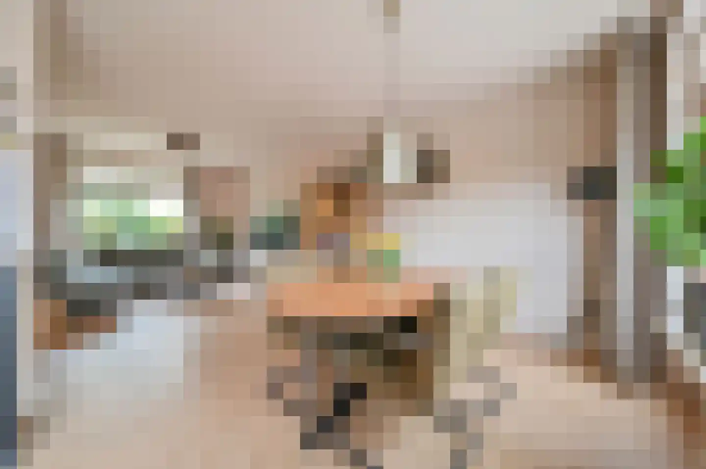 Bilderdijkstraat 67 Putten thumbnail 9