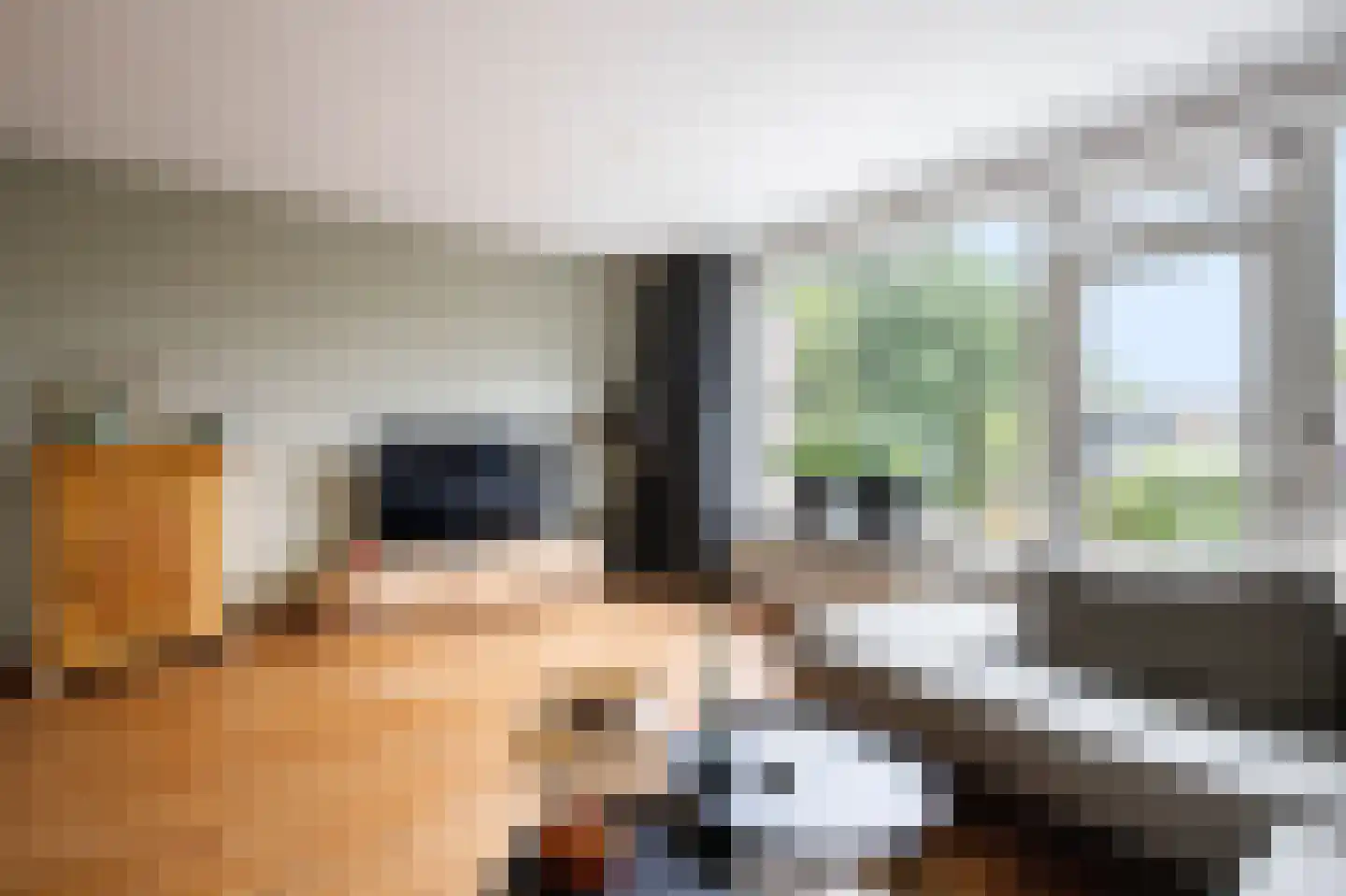Bilderdijkstraat 71 Lekkerkerk thumbnail 20
