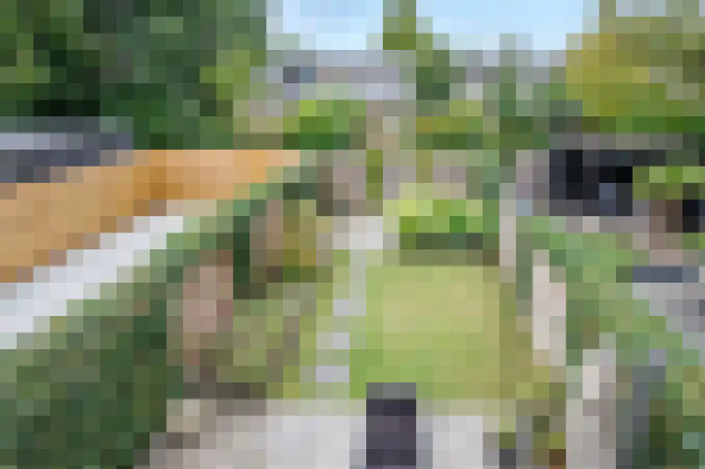 Bilderdijkstraat 71 Lekkerkerk thumbnail 23