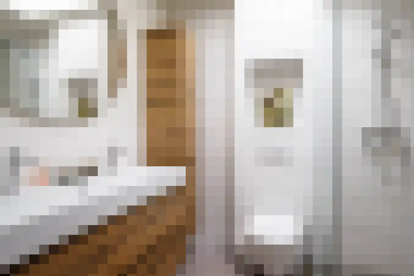Bilderdijkstraat 71 Lekkerkerk thumbnail 28
