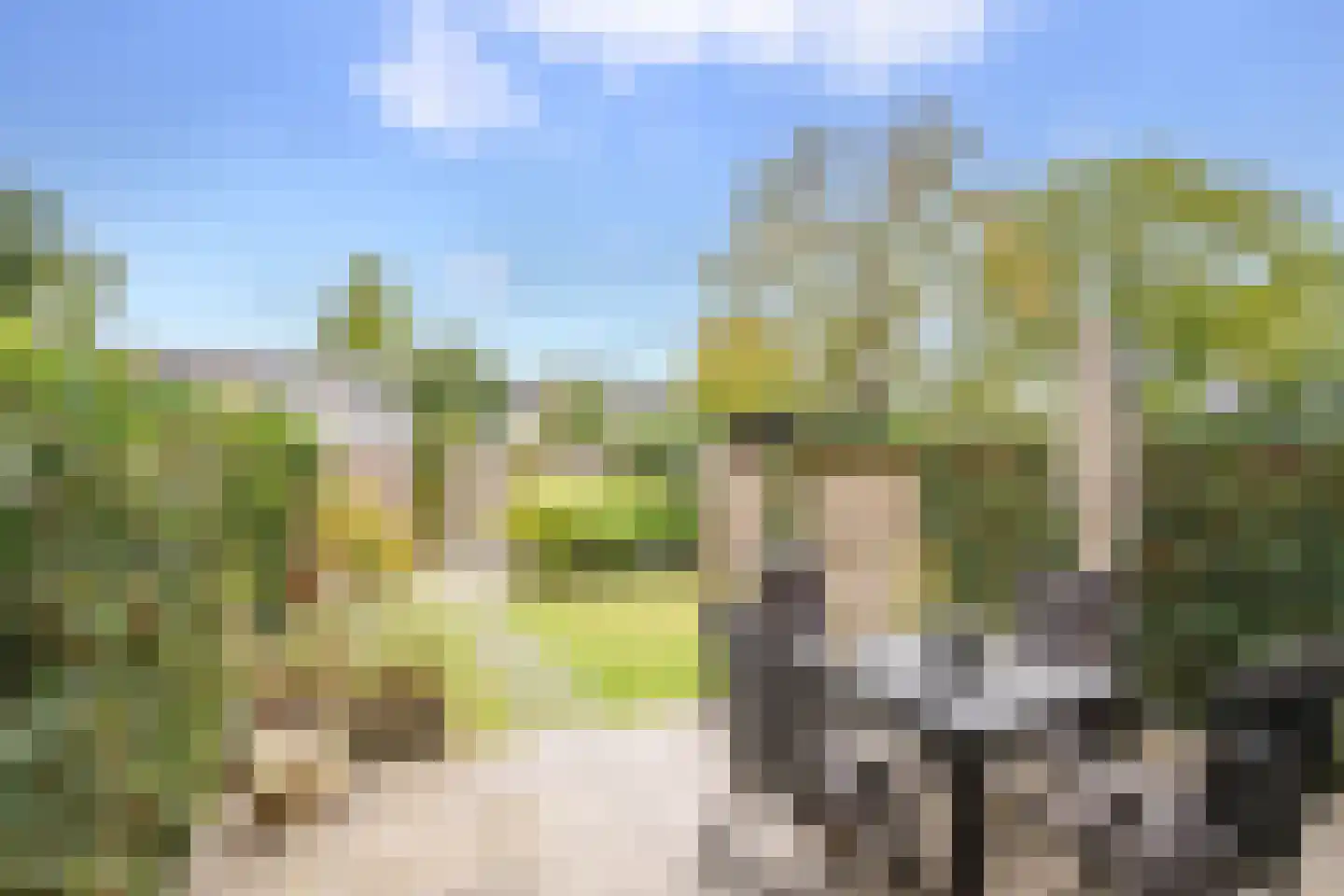 Bilderdijkstraat 71 Lekkerkerk thumbnail 5