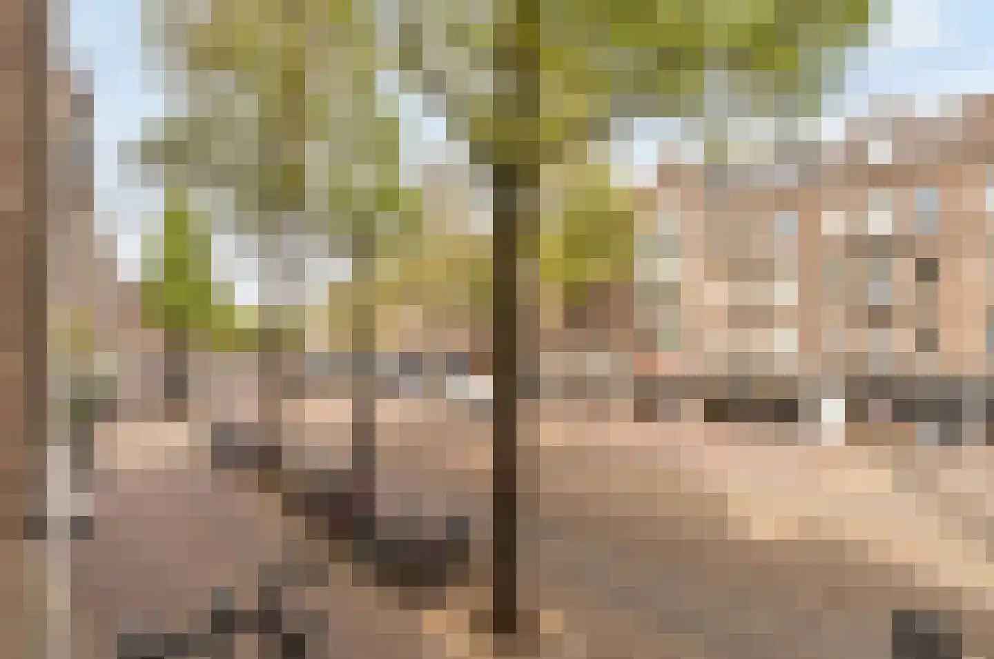 Bilderdijkstraat 72 3 Amsterdam thumbnail 23