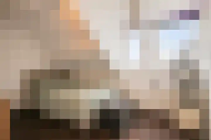 Bilderdijkstraat 74 Tilburg thumbnail 16