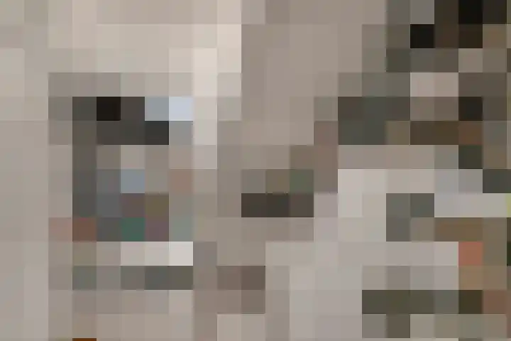 Bilderdijkstraat 74 Tilburg thumbnail 17