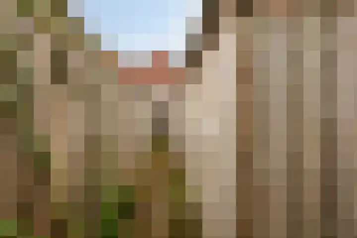 Bilderdijkstraat 74 Tilburg thumbnail 18