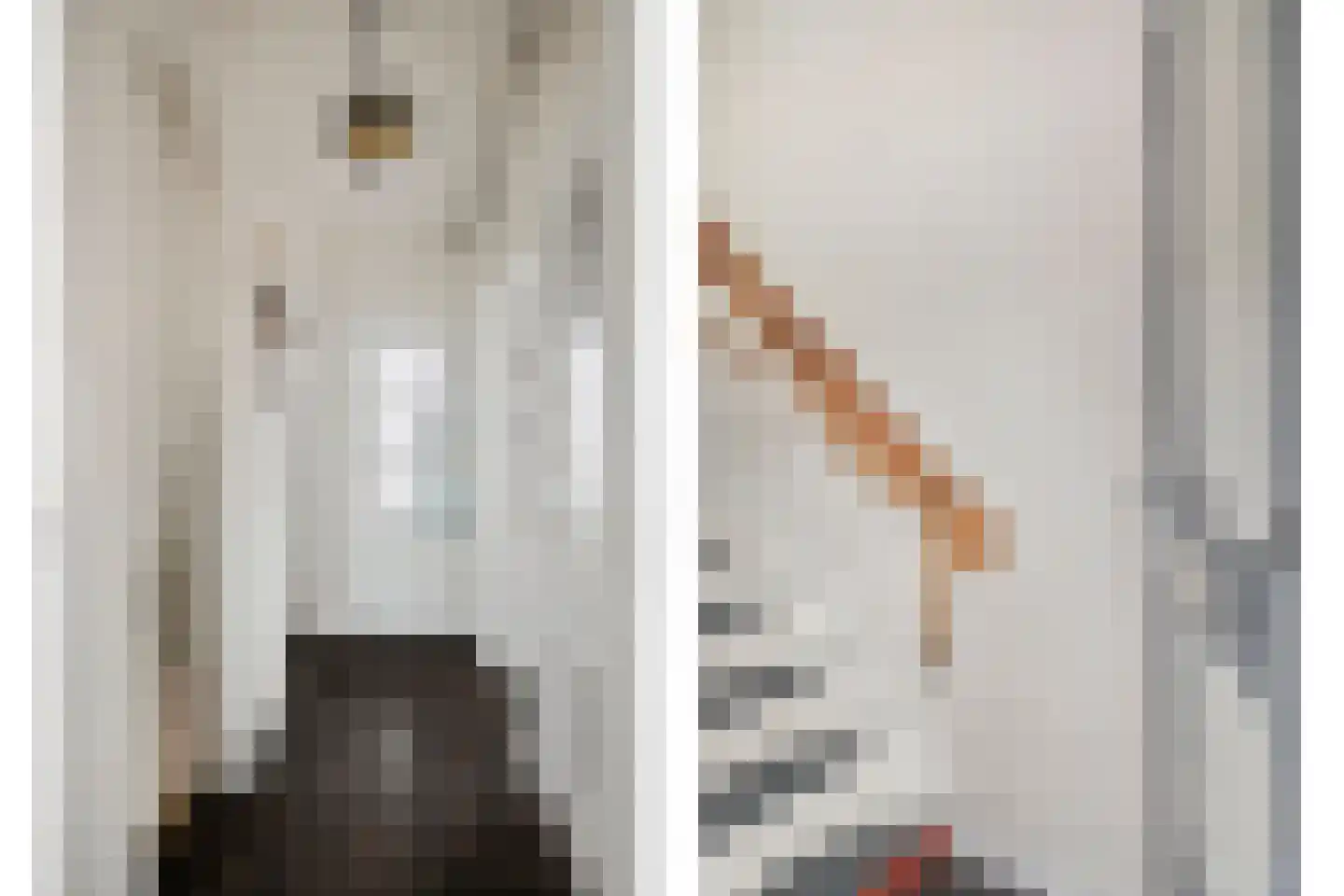Bilderdijkstraat 74 Tilburg thumbnail 4