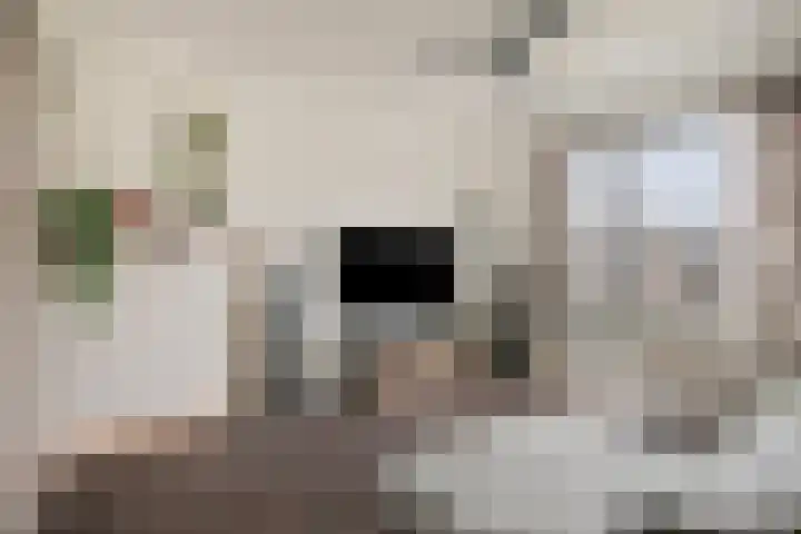 Bilderdijkstraat 74 Tilburg thumbnail 7