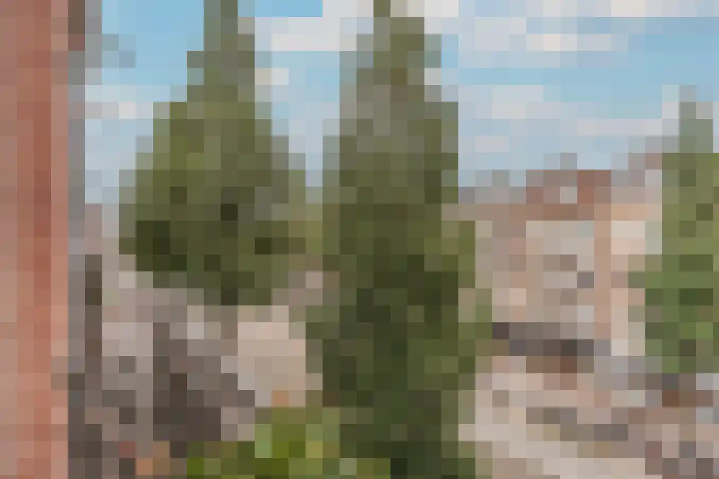Bilderdijkstraat 76 3 Amsterdam thumbnail 8