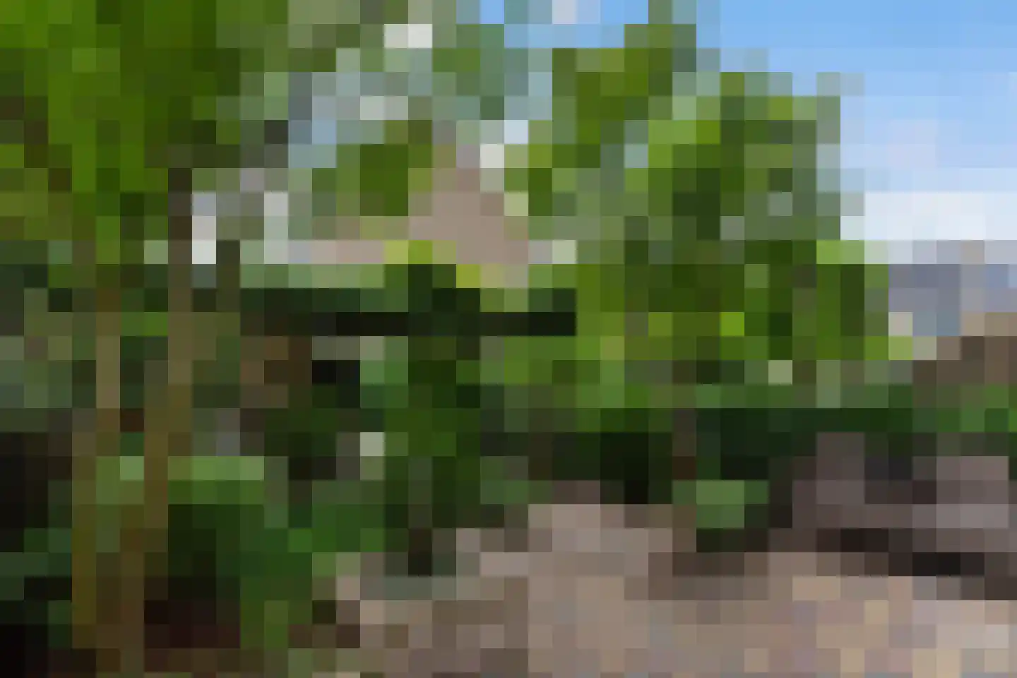 Bilderdijkstraat 77 Alblasserdam thumbnail 33