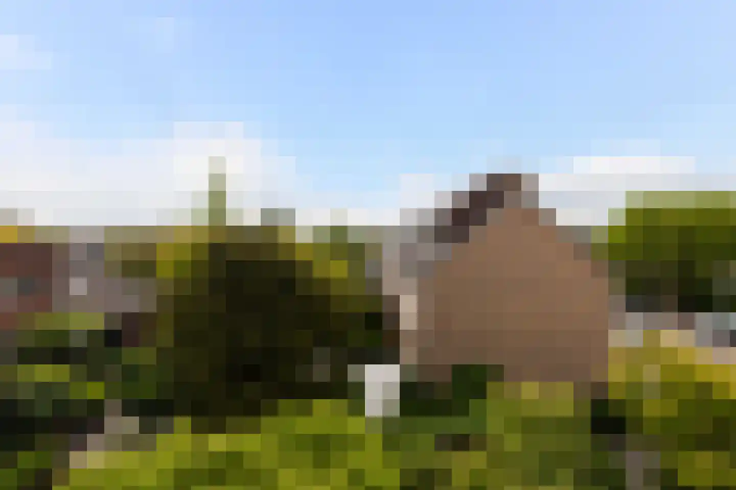 Bilderdijkstraat 77 Alblasserdam thumbnail 34