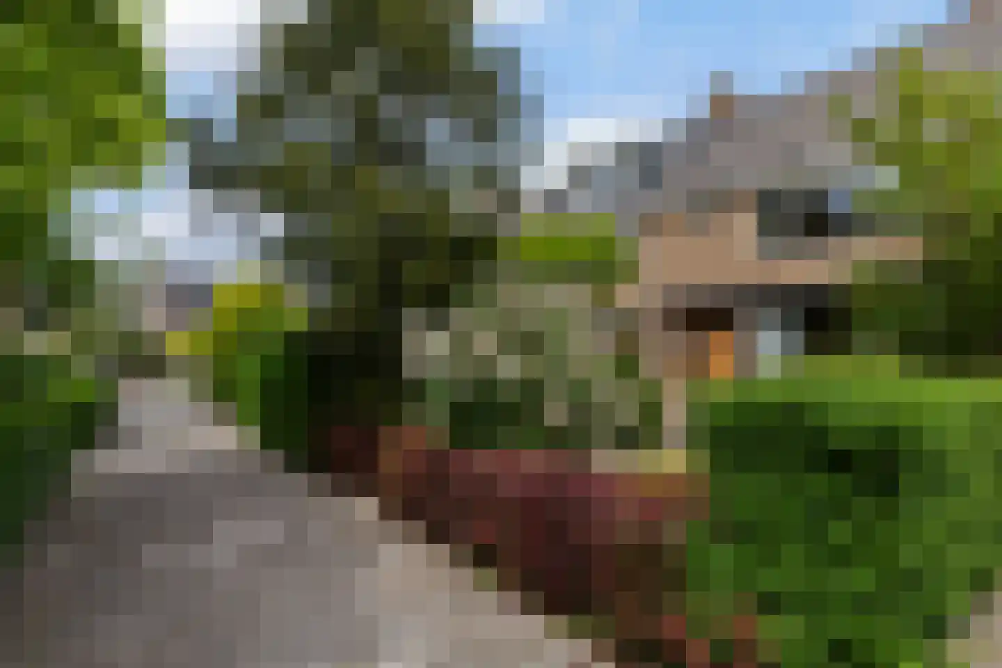 Bilderdijkstraat 77 Alblasserdam thumbnail 35