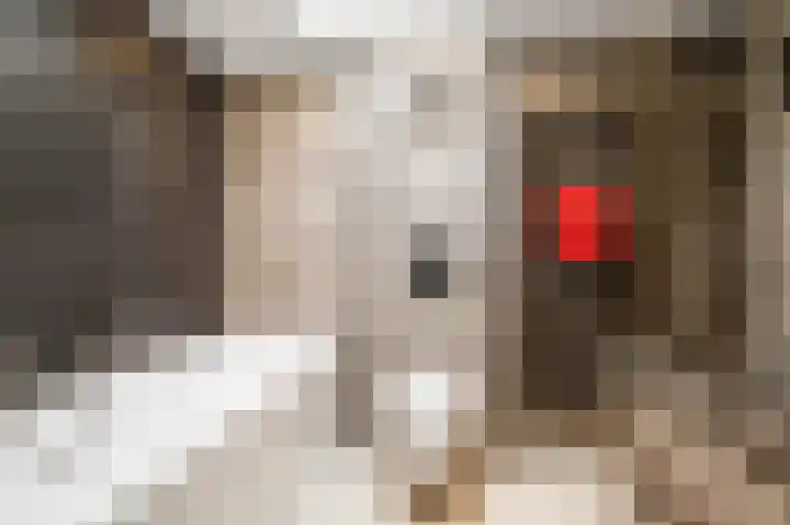 Bilderdijkstraat 77 Lekkerkerk thumbnail 27