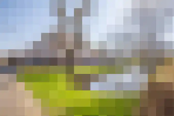 Bilderdijkstraat 77 Lekkerkerk thumbnail 37