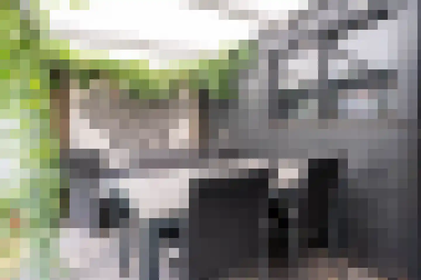 Bilderdijkstraat 8 Tilburg thumbnail 24