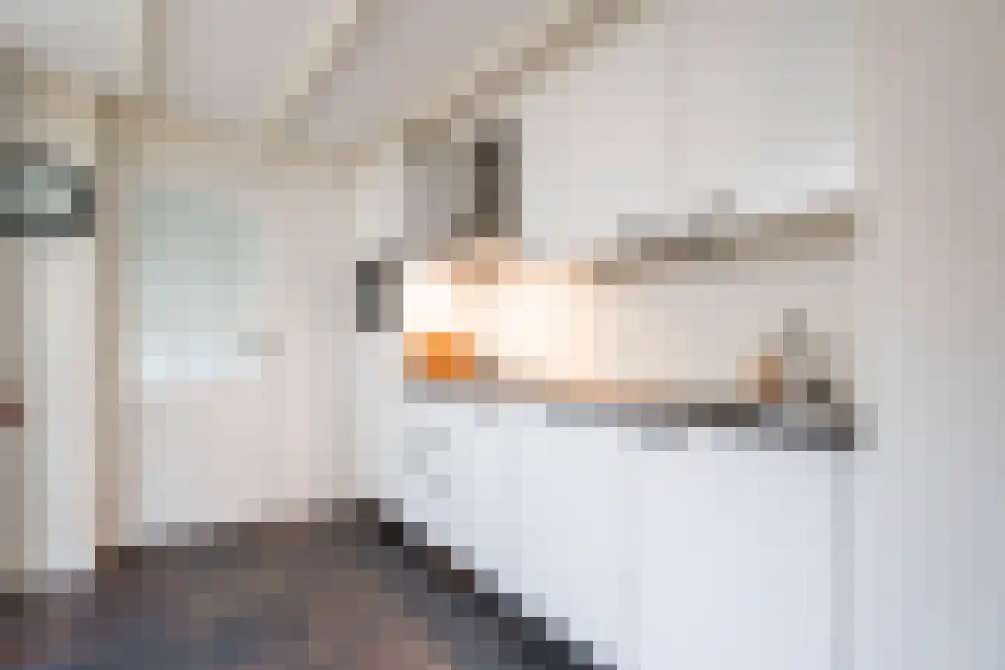 Bilderdijkstraat 8 Tilburg thumbnail 8