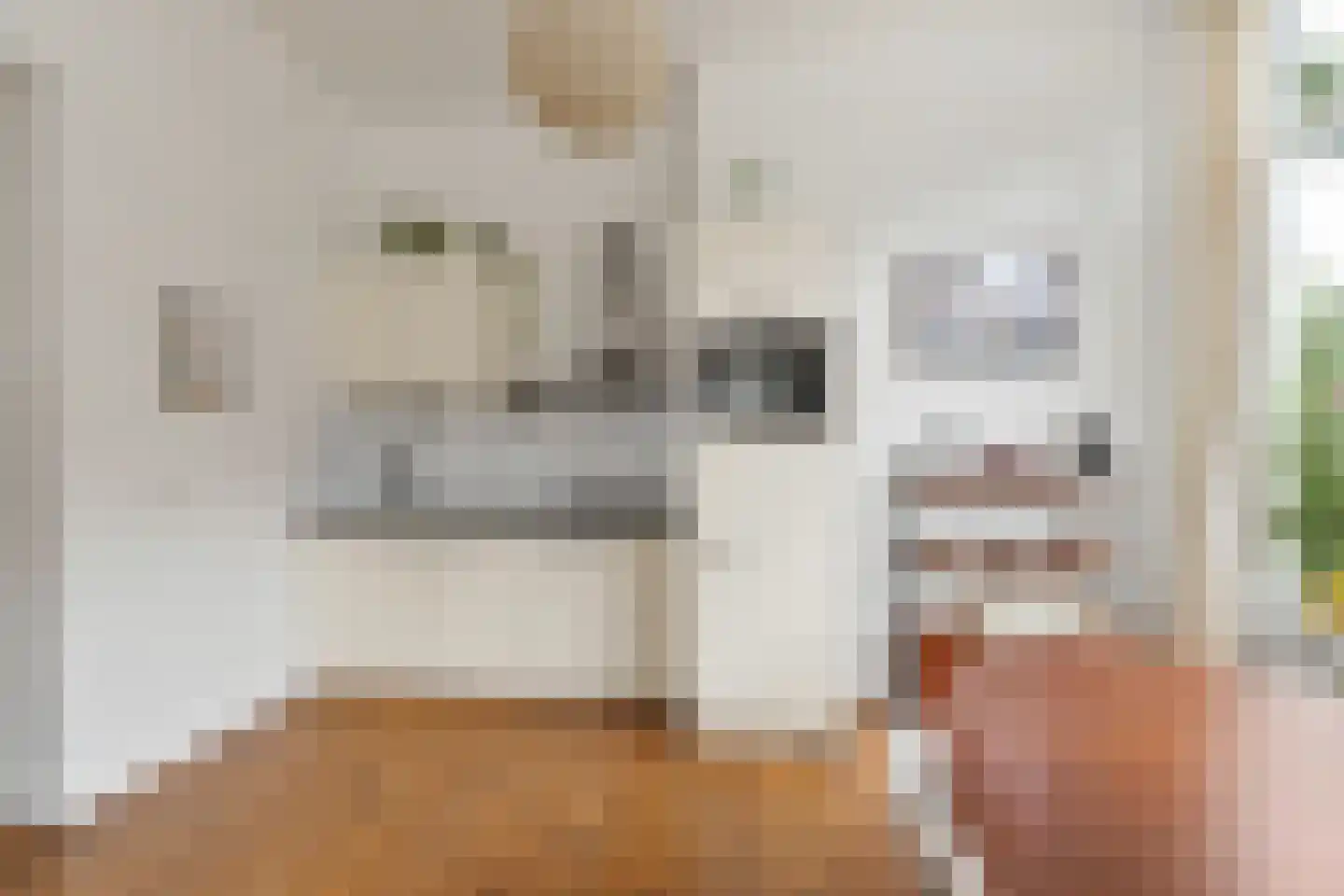 Bilderdijkstraat 9 A Utrecht thumbnail 9