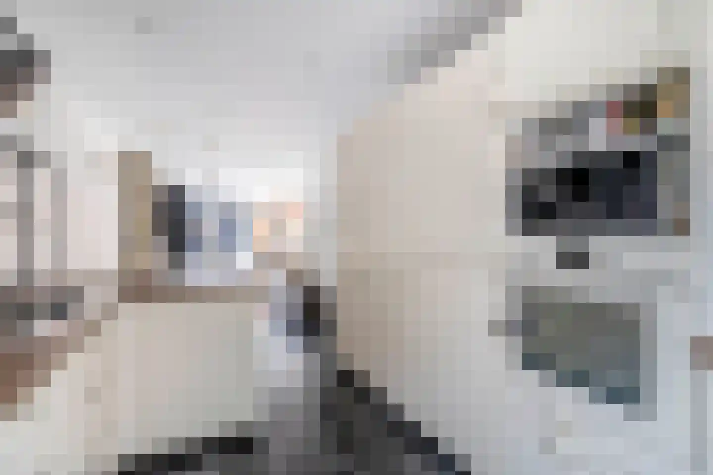 Bilderdijkstraat 9 Schiedam thumbnail 15