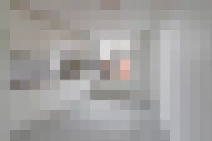 Bilderdijkstraat 96 Nijmegen thumbnail 5