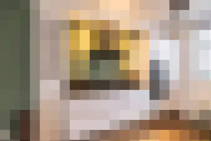 Bilderdijkwende 3 Hillegom thumbnail 14