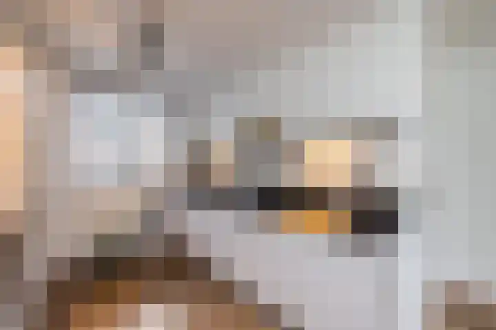 Bilderdijkwende 3 Hillegom thumbnail 15