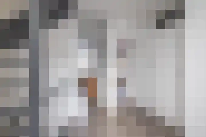 Bilderdijkwende 3 Hillegom thumbnail 18