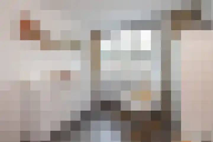 Bilderdijkwende 3 Hillegom thumbnail 21