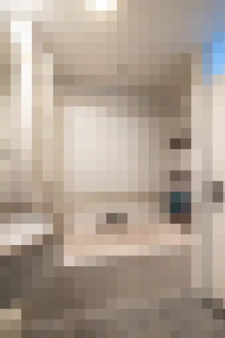Bilderdijkwende 3 Hillegom thumbnail 23