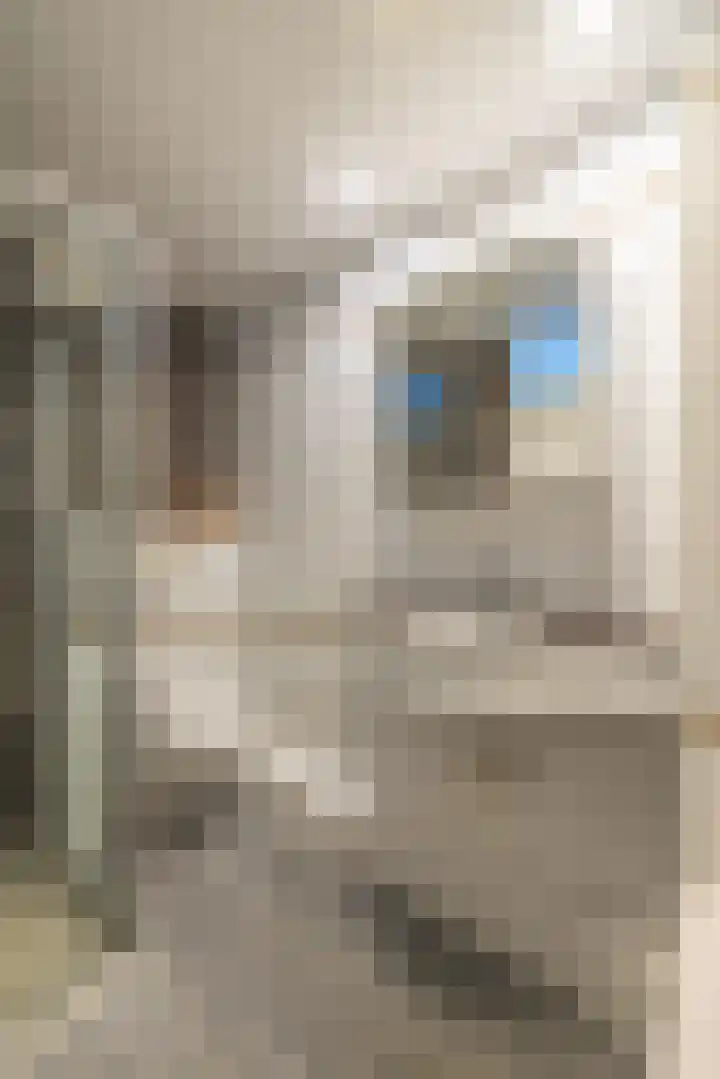 Bilderdijkwende 3 Hillegom thumbnail 24