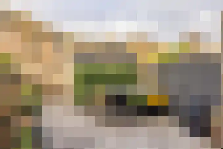 Bilderdijkwende 3 Hillegom thumbnail 34