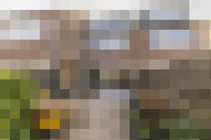 Bilderdijkwende 3 Hillegom thumbnail 36