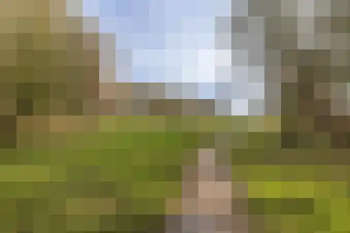 Bilderdijkwende 3 Hillegom thumbnail 37