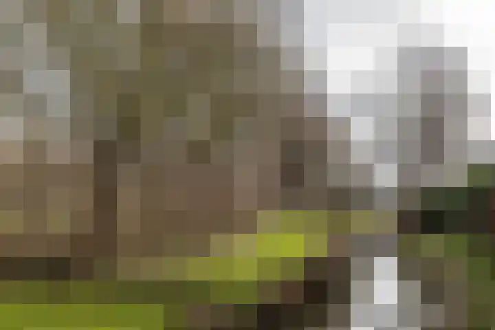 Bilderdijkwende 3 Hillegom thumbnail 38