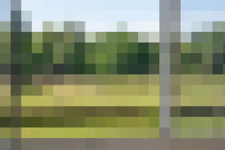 Bildersweg 18 Oosterbeek thumbnail 30