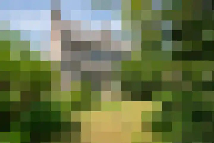 Bildersweg 18 Oosterbeek thumbnail 46