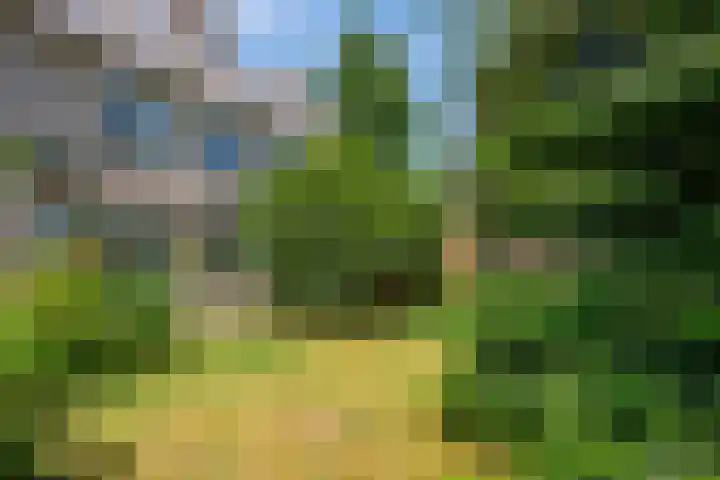 Bildersweg 18 Oosterbeek thumbnail 47