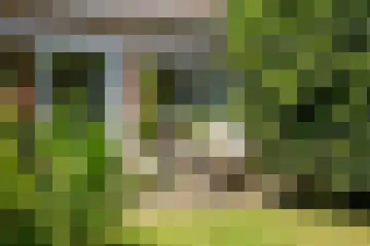 Bildersweg 18 Oosterbeek thumbnail 49