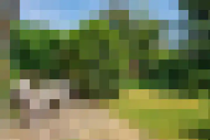 Bildersweg 18 Oosterbeek thumbnail 50