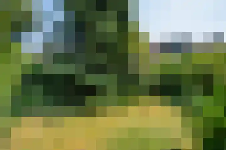 Bildersweg 18 Oosterbeek thumbnail 51