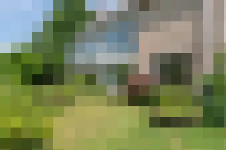 Bildersweg 18 Oosterbeek thumbnail 53