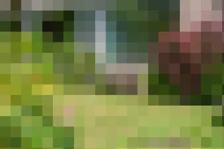 Bildersweg 18 Oosterbeek thumbnail 54