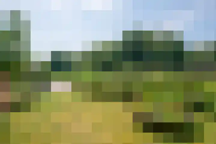 Bildersweg 18 Oosterbeek thumbnail 56