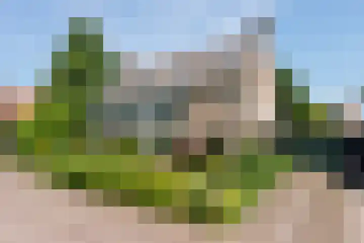 Bildersweg 18 Oosterbeek thumbnail 60