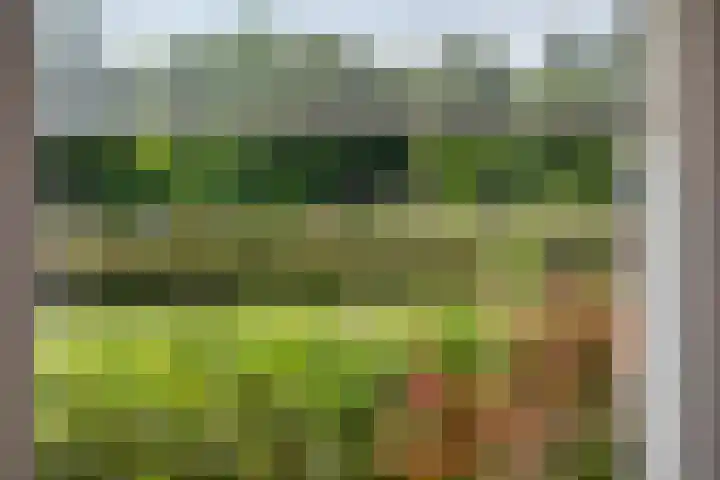 Bildersweg 18 Oosterbeek thumbnail 8