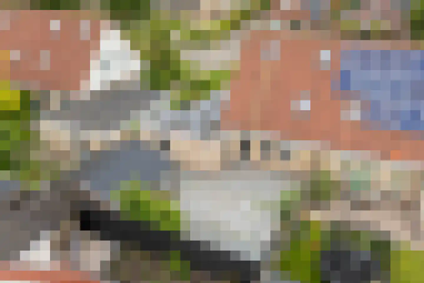 Bildtdyk 14 Berltsum thumbnail 32