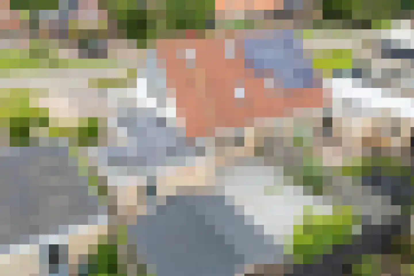 Bildtdyk 14 Berltsum thumbnail 33